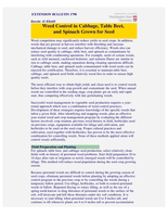 Weed Control in Cabbage, Table Beet and Spinach