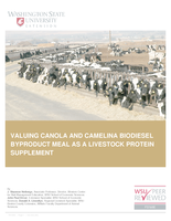 Valuing canola and camelina biodiesel byproduct meal as a livestock protein supplement