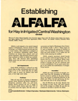 Establishing alfalfa for hay in irrigated central Washington