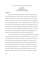 How great were the Cedar Mesa great house communities? (Paper)