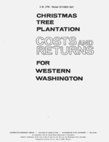 Christmas tree plantation costs and returns for western Washington