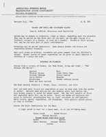 Salads and fruit and vegetable plates