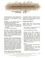 Western Washington weed control guide - Quackgrass control in croplands