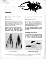 Insect answers: Termites