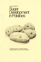 Sugar development in potatoes