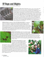 Bugs and Blights, March 2012