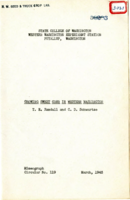 Growing Sweet Corn in Western Washington