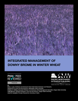 Integrated management of downy brome in winter wheat