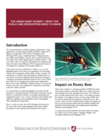The Asian giant hornet: What the public and beekeepers need to know