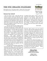 WSU Organic Standard, June 28, 2010