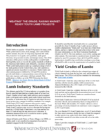 "Meating" the grade: Raising market-ready youth lamb projects