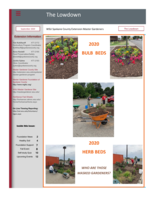 Lowdown, September 2020