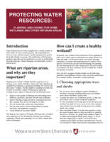 Protecting water resources : planting and caring for home wetlands and other riparian areas