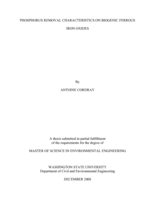 Phosphorus removal characteristics on biogenic ferrous iron oxides