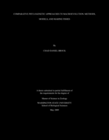 Comparative phylogenetic approaches to macroevolution: methods, models, and marine fishes