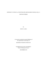 Efficiency of the CO2-concentrating mechanism in single-cell C4 photosynthesis