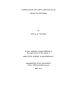 Identification of Campylobacter jejuni secreted proteins