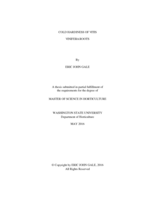 Cold hardiness of Vitis vinifera roots