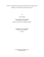 Effect of prednisolone and dexamethasone on the plasma protein binding of mycophenolic acid in dogs and cats
