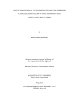Habitat associations of the surgeonfish, yellow tang (Zebrasoma flavescens), from shallow to upper mesophotic coral reefs (3- 40 M) in west Hawaii