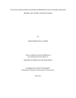 Voltage-gated sodium channel expression in rat nodose ganglion before and after capsaicin lesion