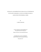 Abundance and distribution of megafaunal invertebrates in NE Pacific submarine canyons and their ecological associations with demersal fishes