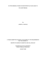 In vitro binding of base excision repair glycosylases to poly(adp-ribose)