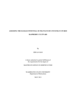 Assessing the damage potential of Pratylenchus penetrans on red raspberry cultivars