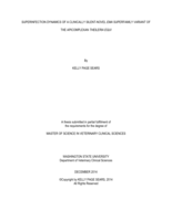 Superinfection dynamics of a clinically silent-novel EMA superfamily variant of the apicomplexan Theileria equi