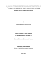 An analysis of the microdistribution and long-term retention of ²³⁹PU (No₃)₄ in the respiratory tracts of an exposed plutonium worker and experimental beagles 