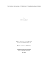 The folding mechanisms of the eukaryotic and archaeal histones