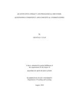 Quantitative literacy and pedagogical discourse: questioning consistency and conceptual understanding