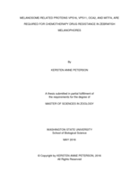 Melanosome-related proteins VPS16, VPS11, OCA2, and MITFA, are required for chemotherapy drug resistance in Zebrafish melanophores