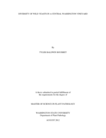 Diversity of wild yeasts in a central Washington vineyard