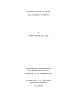 Debitage variability among multiple flint knappers