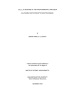 Cellular response of the hyperthermophilic archaeon Sulfolobus solfataricus to radiation damage