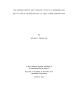 The antinociceptive and tolerance effects of morphine and bicuculline in the periaqueductal gray during chronic pain