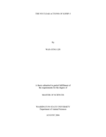 The nuclear actions of IGFBP-3