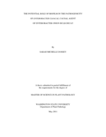 The potential role of biofilm in the pathogenicity of Enterobacter cloacae, causal agent of Enterobacter onion bulb decay