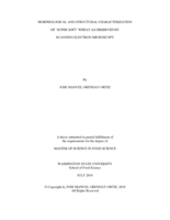 Morphological and structural characterization of 'super soft' wheat as observed by scanning electron microscopy