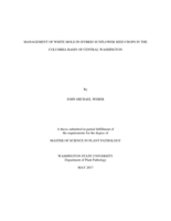 Management of white mold in hybrid sunflower seed crops in the Columbia Basin of Central Washington