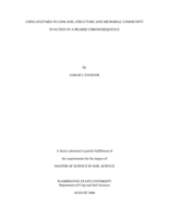 Using enzymes to link soil structure and microbial community function in a prairie chronosequence