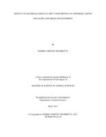 Effects of maternal high fat diet consumption on offspring letpin signaling and brain development