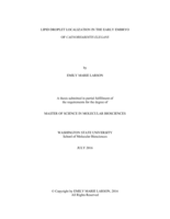 Lipid droplet localization in the early embryo of Caenorhabditis elegans