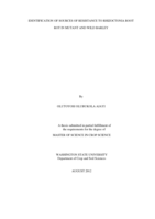 Identification of sources of resistance to rhizoctonia root rot in mutant and wild barley