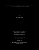 Metabolite profiling of commercially important strawberry (Fragaria X ananassa) cultivars throughout development