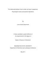 The relationship between shoot number and vigor in grapevines: physiological causes and practical implications