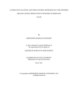 Alternative planting and weed control methodology for certified organic quinoa production in Western Washington State