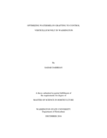 Optimizing watermelon grafting to control verticillium wilt in Washington