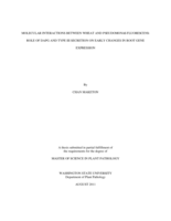 Molecular interactions between wheat and Pseudomonas fluorescens: role of DAPG and type III secretion on early changes in root gene expression